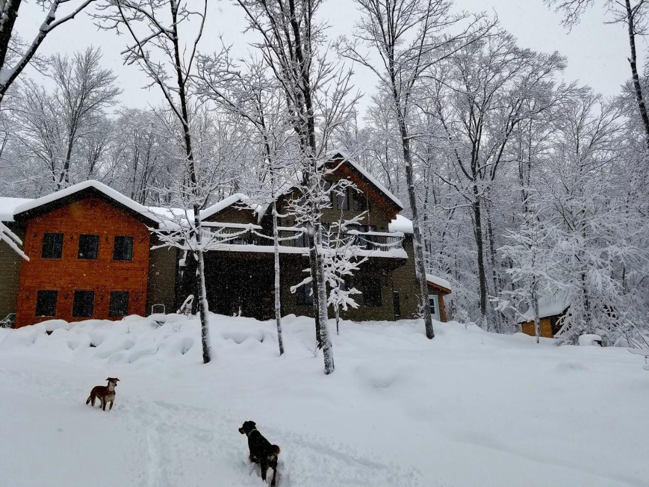 Les Cabines Nordik Des Piles Villa Saint-Jean-des Piles Exterior photo